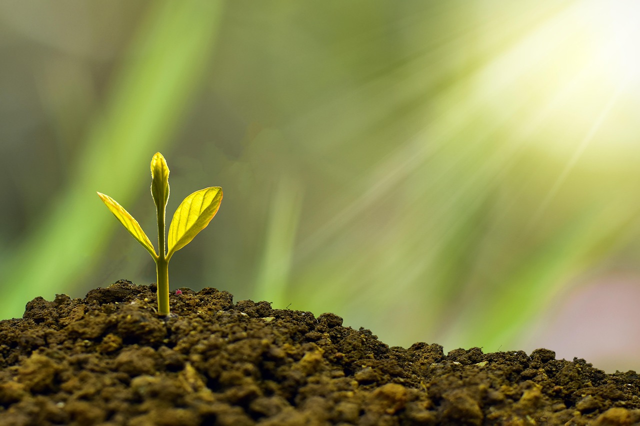 découvrez les opportunités d'investissement dans les antiquités : un marché fascinant où l'histoire rencontre la rentabilité. explorez nos conseils, tendances et choix d'objets uniques pour faire fructifier votre patrimoine.